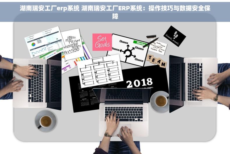 湖南瑞安工厂erp系统 湖南瑞安工厂ERP系统：操作技巧与数据安全保障