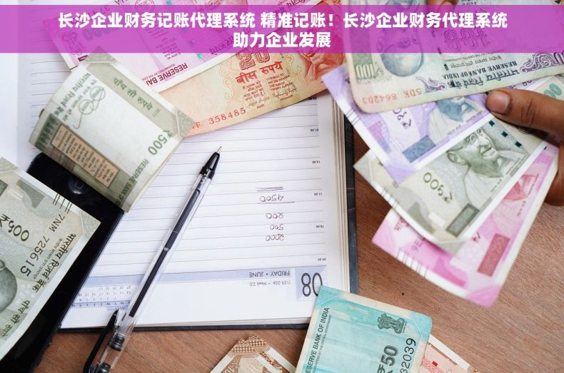 长沙企业财务记账代理系统 精准记账！长沙企业财务代理系统助力企业发展