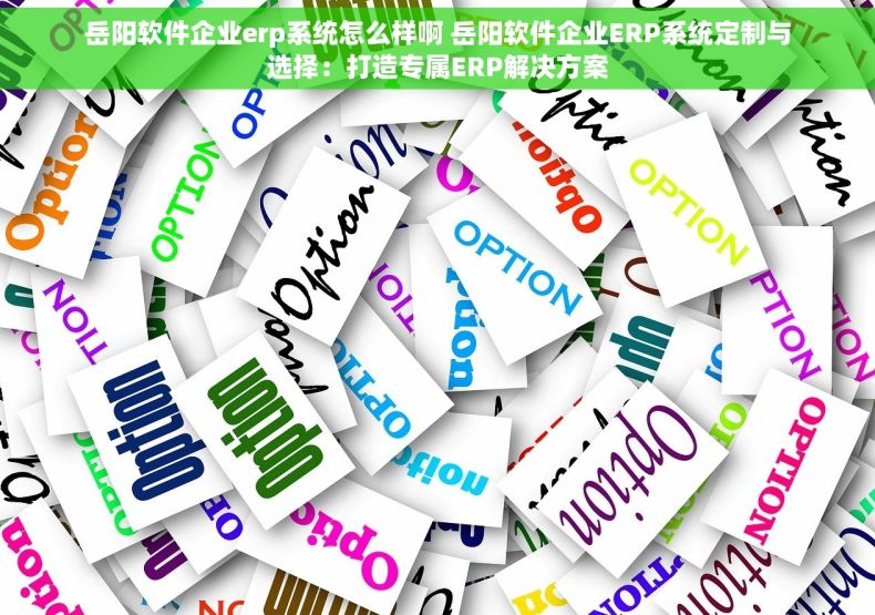 岳阳软件企业erp系统怎么样啊 岳阳软件企业ERP系统定制与选择：打造专属ERP解决方案