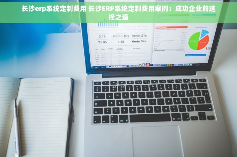 长沙erp系统定制费用 长沙ERP系统定制费用案例：成功企业的选择之道