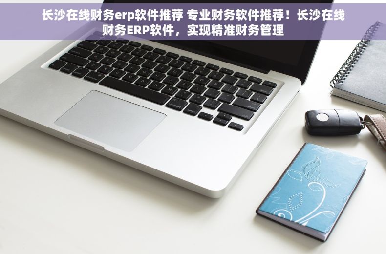 长沙在线财务erp软件推荐 专业财务软件推荐！长沙在线财务ERP软件，实现精准财务管理