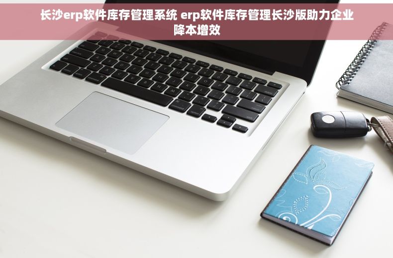 长沙erp软件库存管理系统 erp软件库存管理长沙版助力企业降本增效
