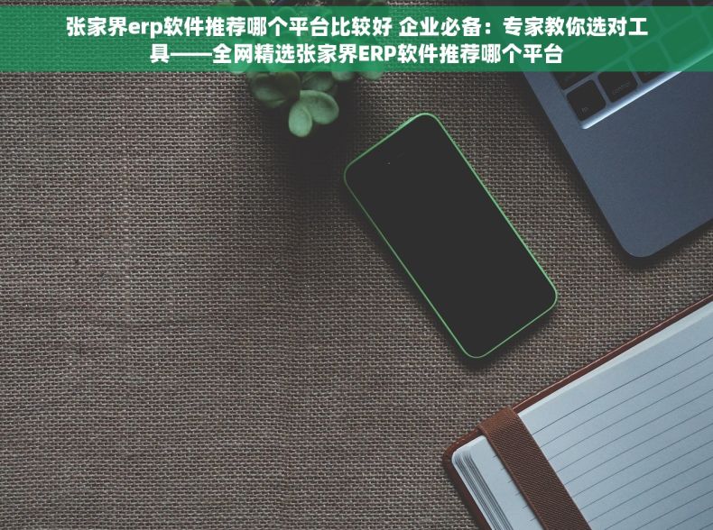 张家界erp软件推荐哪个平台比较好 企业必备：专家教你选对工具——全网精选张家界ERP软件推荐哪个平台