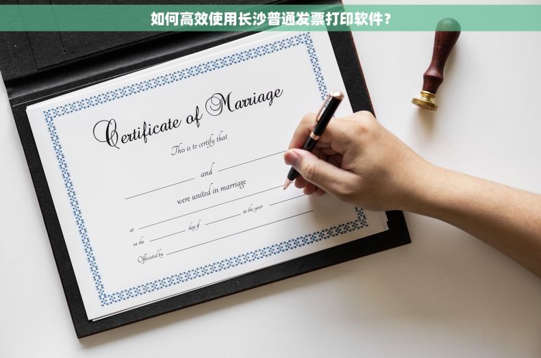 如何高效使用长沙普通发票打印软件？