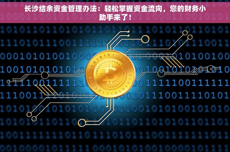 长沙结余资金管理办法：轻松掌握资金流向，您的财务小助手来了！