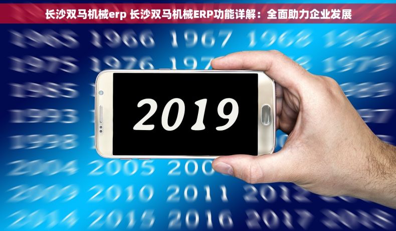 长沙双马机械erp 长沙双马机械ERP功能详解：全面助力企业发展