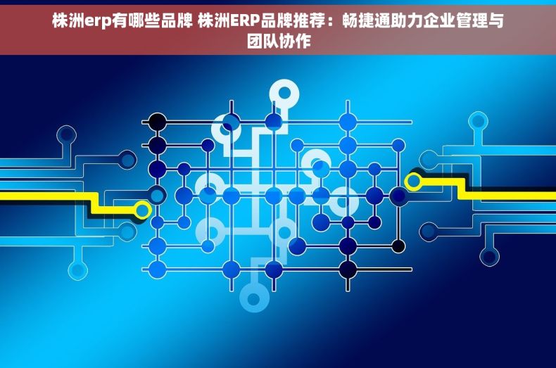 株洲erp有哪些品牌 株洲ERP品牌推荐：畅捷通助力企业管理与团队协作