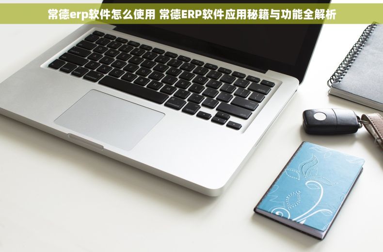 常德erp软件怎么使用 常德ERP软件应用秘籍与功能全解析