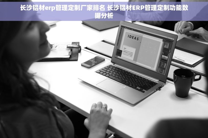 长沙铝材erp管理定制厂家排名 长沙铝材ERP管理定制功能数据分析