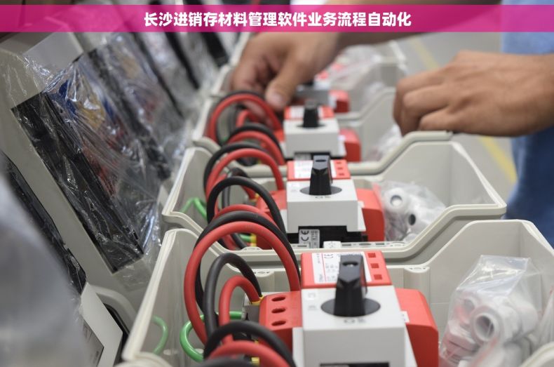 长沙进销存材料管理软件业务流程自动化