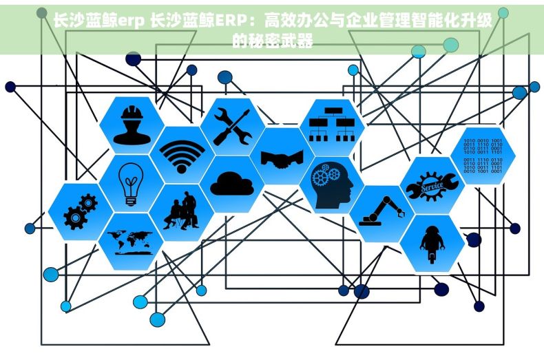 长沙蓝鲸erp 长沙蓝鲸ERP：高效办公与企业管理智能化升级的秘密武器