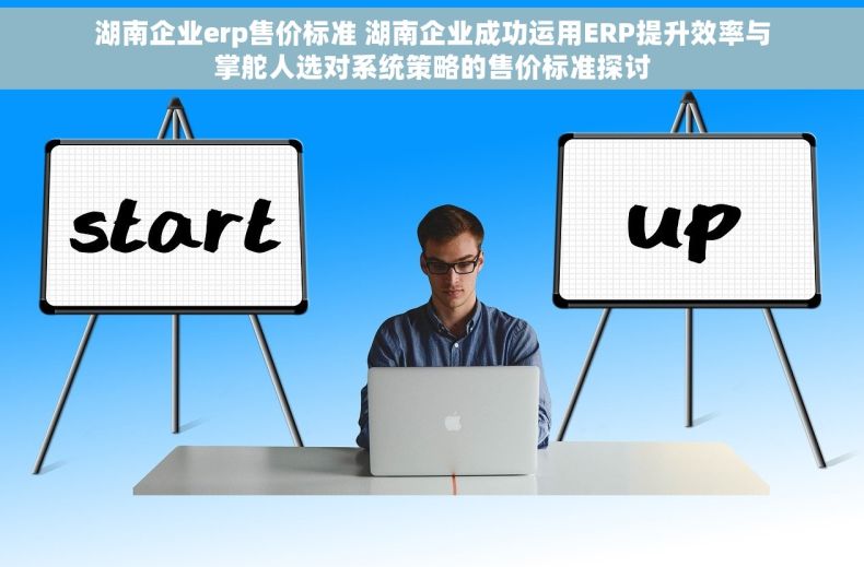 湖南企业erp售价标准 湖南企业成功运用ERP提升效率与掌舵人选对系统策略的售价标准探讨