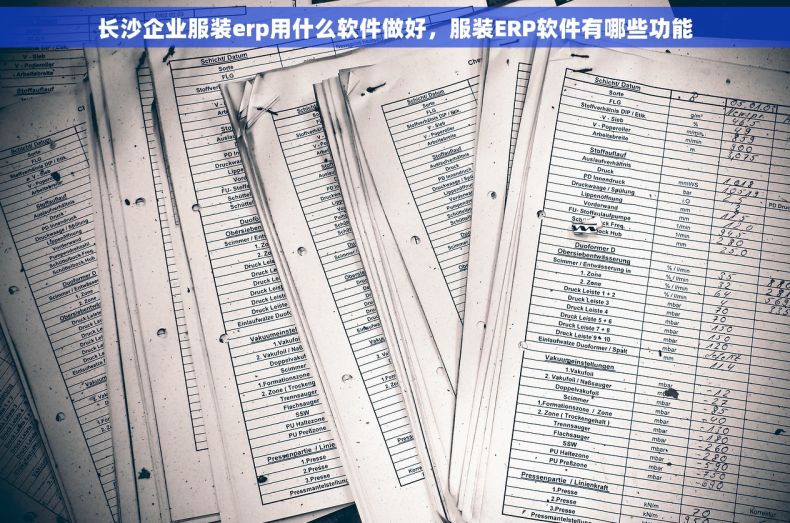 长沙企业服装erp用什么软件做好，服装ERP软件有哪些功能