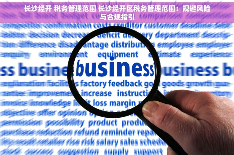 长沙经开 税务管理范围 长沙经开区税务管理范围：规避风险与合规指引