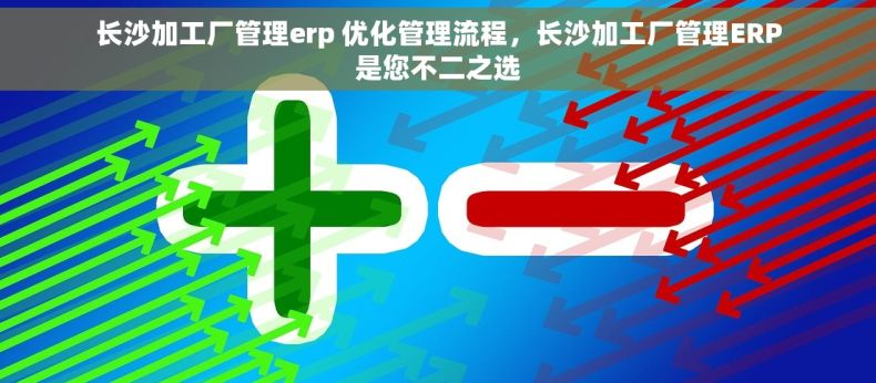 长沙加工厂管理erp 优化管理流程，长沙加工厂管理ERP是您不二之选