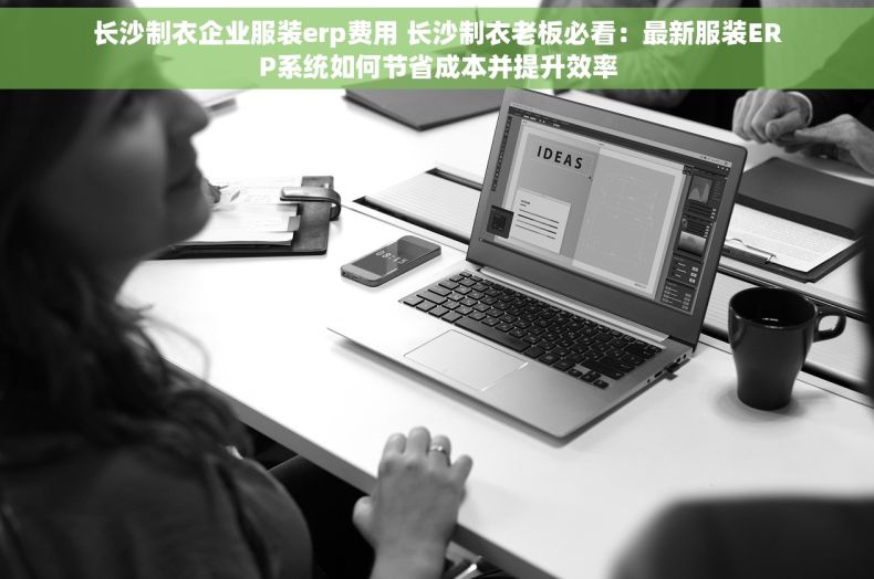 长沙制衣企业服装erp费用 长沙制衣老板必看：最新服装ERP系统如何节省成本并提升效率