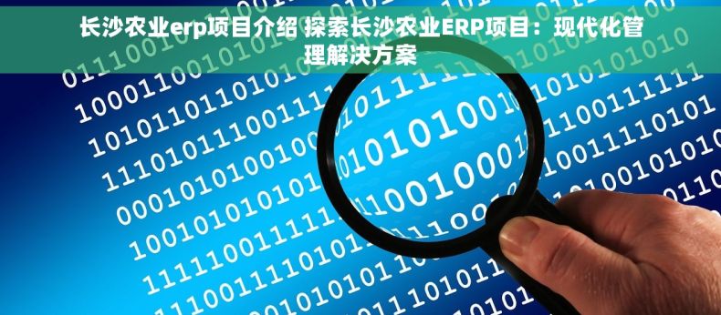 长沙农业erp项目介绍 探索长沙农业ERP项目：现代化管理解决方案