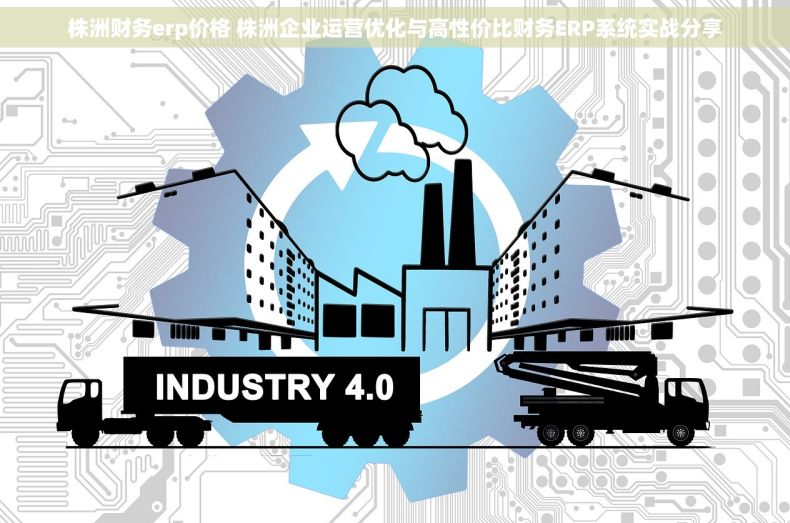 株洲财务erp价格 株洲企业运营优化与高性价比财务ERP系统实战分享