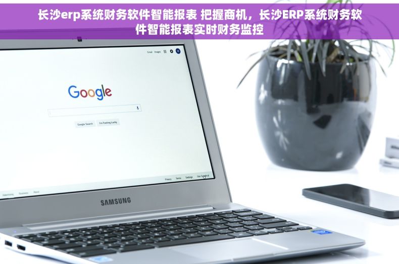 长沙erp系统财务软件智能报表 把握商机，长沙ERP系统财务软件智能报表实时财务监控