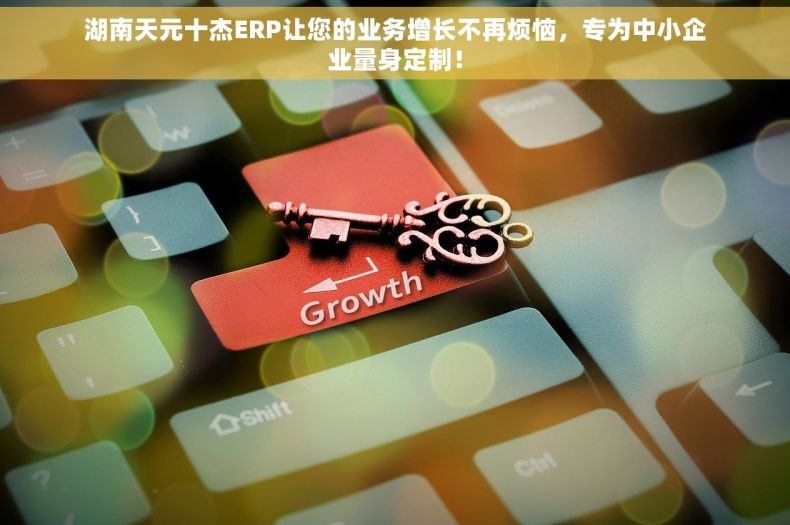 湖南天元十杰ERP让您的业务增长不再烦恼，专为中小企业量身定制！