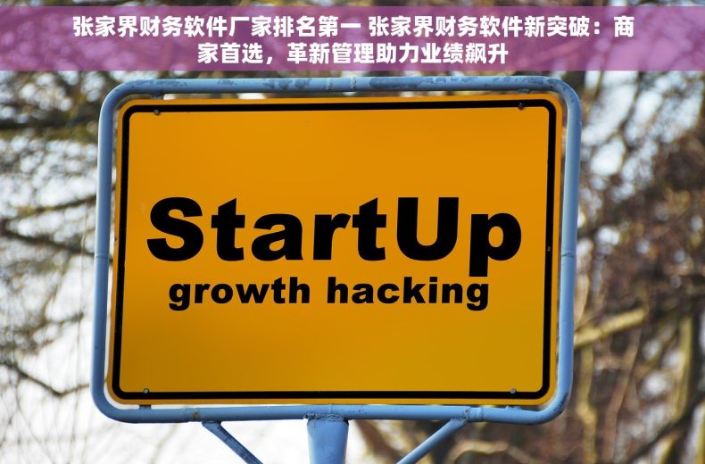 张家界财务软件厂家排名第一 张家界财务软件新突破：商家首选，革新管理助力业绩飙升