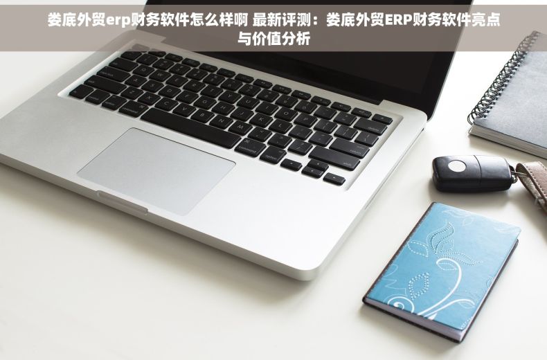 娄底外贸erp财务软件怎么样啊 最新评测：娄底外贸ERP财务软件亮点与价值分析
