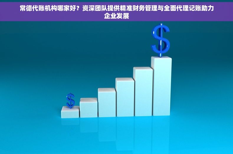 常德代账机构哪家好？资深团队提供精准财务管理与全面代理记账助力企业发展