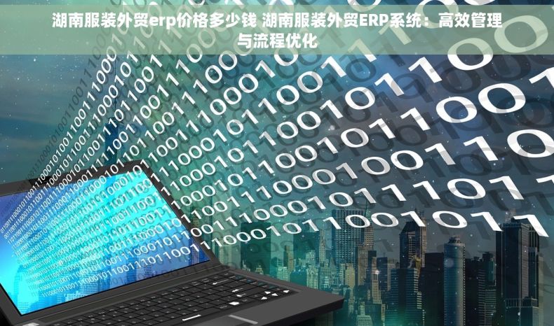 湖南服装外贸erp价格多少钱 湖南服装外贸ERP系统：高效管理与流程优化