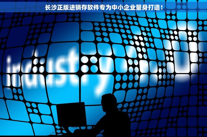 长沙正版进销存软件专为中小企业量身打造！