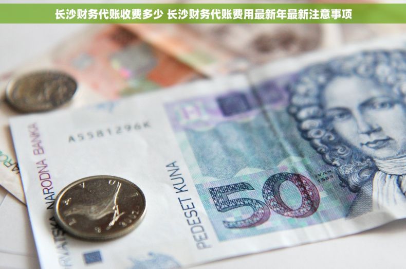 长沙财务代账收费多少 长沙财务代账费用最新年最新注意事项