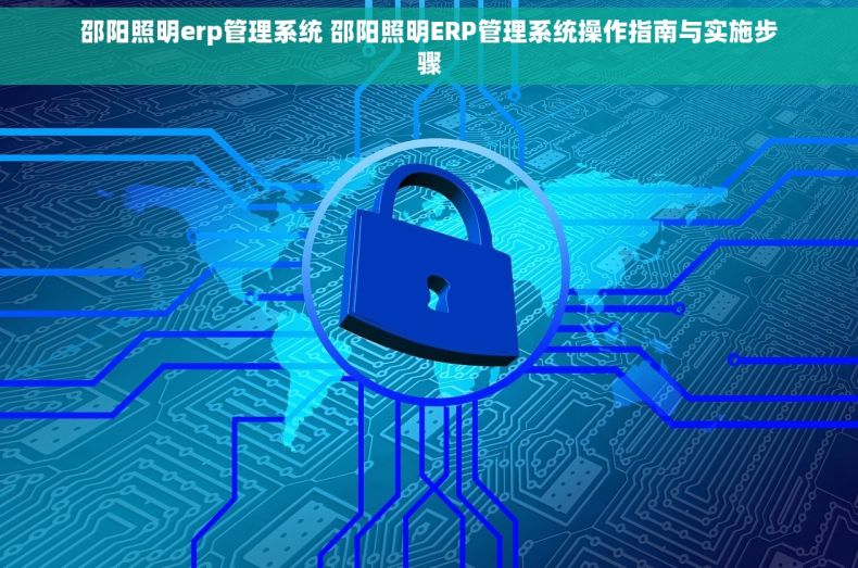 邵阳照明erp管理系统 邵阳照明ERP管理系统操作指南与实施步骤