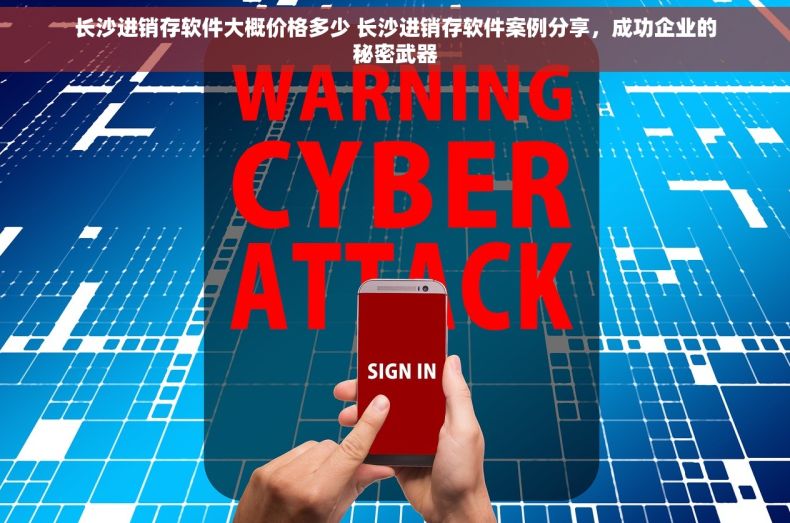 长沙进销存软件大概价格多少 长沙进销存软件案例分享，成功企业的秘密武器