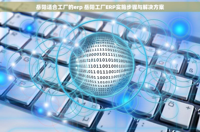 岳阳适合工厂的erp 岳阳工厂ERP实施步骤与解决方案