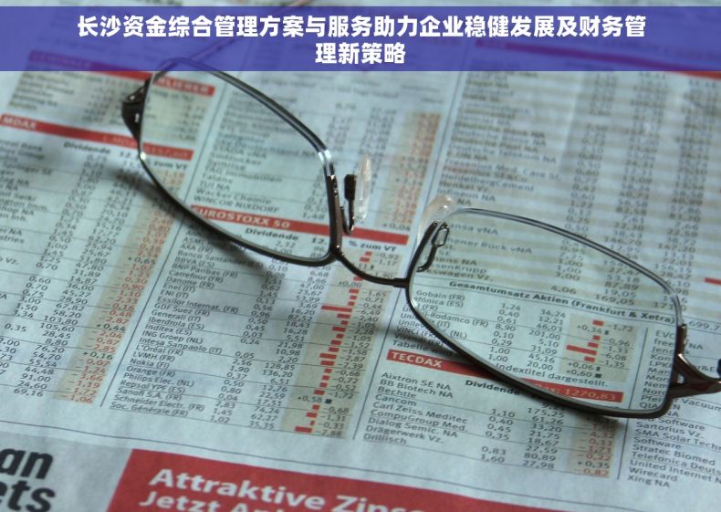 长沙资金综合管理方案与服务助力企业稳健发展及财务管理新策略