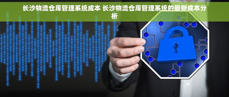 长沙物流仓库管理系统成本 长沙物流仓库管理系统的最新成本分析