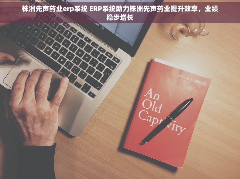 株洲先声药业erp系统 ERP系统助力株洲先声药业提升效率，业绩稳步增长
