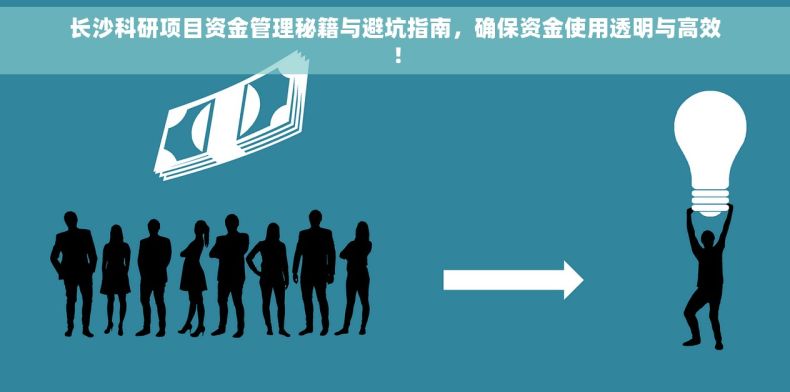 长沙科研项目资金管理秘籍与避坑指南，确保资金使用透明与高效！