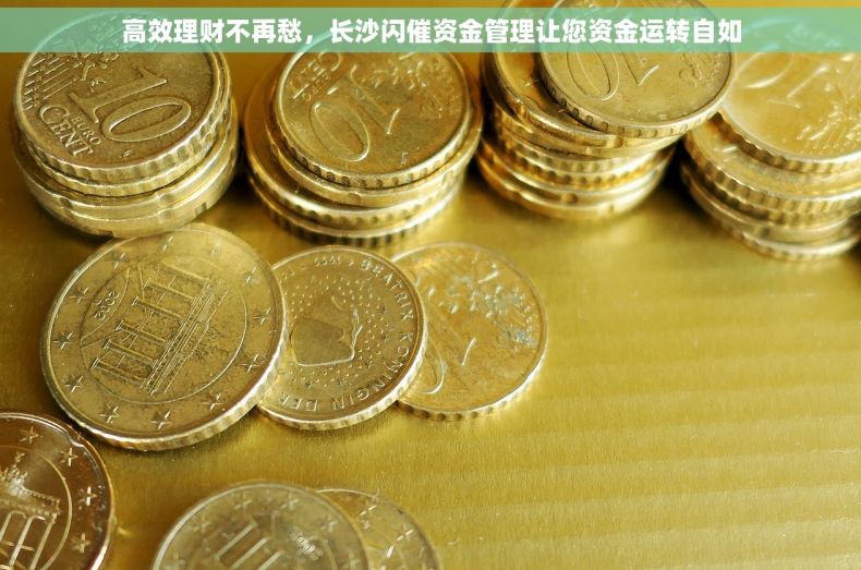 高效理财不再愁，长沙闪催资金管理让您资金运转自如