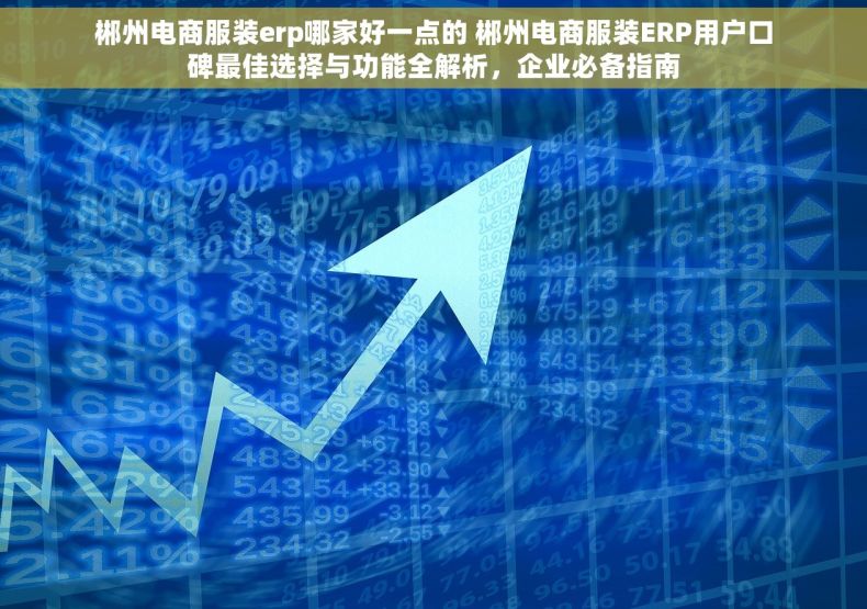 郴州电商服装erp哪家好一点的 郴州电商服装ERP用户口碑最佳选择与功能全解析，企业必备指南