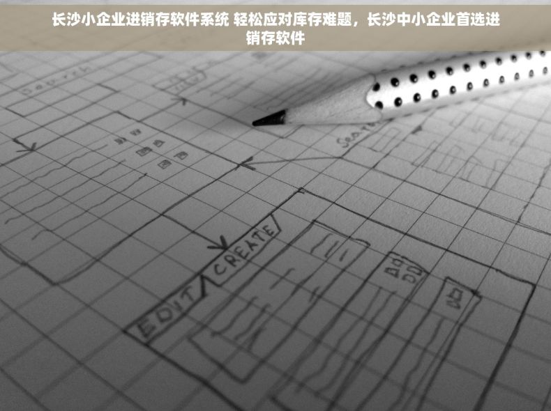 长沙小企业进销存软件系统 轻松应对库存难题，长沙中小企业首选进销存软件