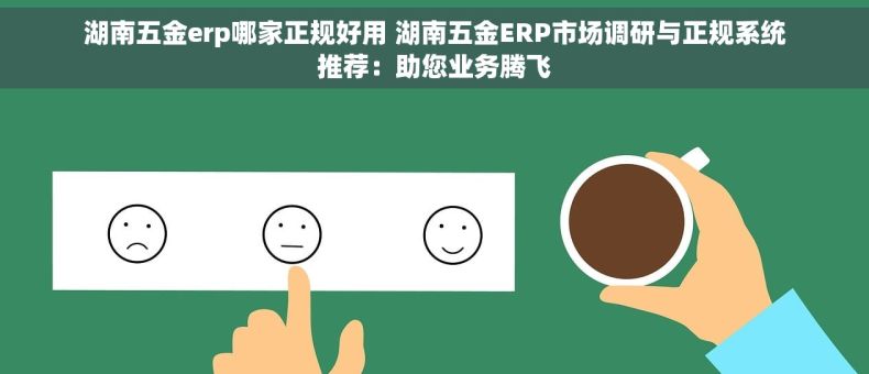 湖南五金erp哪家正规好用 湖南五金ERP市场调研与正规系统推荐：助您业务腾飞