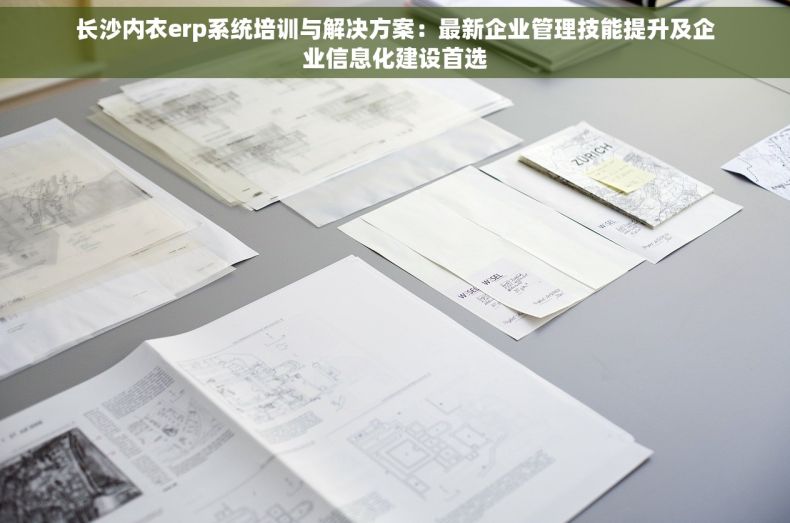 长沙内衣erp系统培训与解决方案：最新企业管理技能提升及企业信息化建设首选