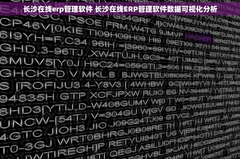 长沙在线erp管理软件 长沙在线ERP管理软件数据可视化分析