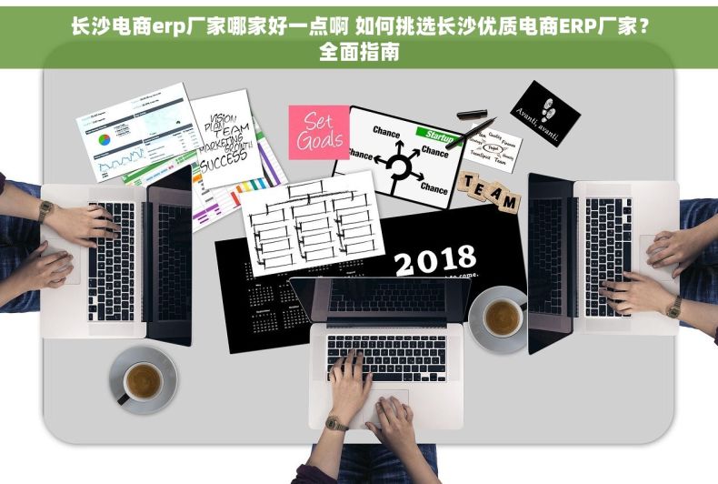 长沙电商erp厂家哪家好一点啊 如何挑选长沙优质电商ERP厂家？全面指南