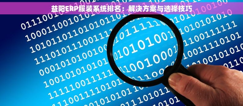 益阳ERP服装系统排名：解决方案与选择技巧