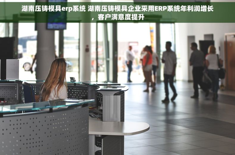 湖南压铸模具erp系统 湖南压铸模具企业采用ERP系统年利润增长，客户满意度提升