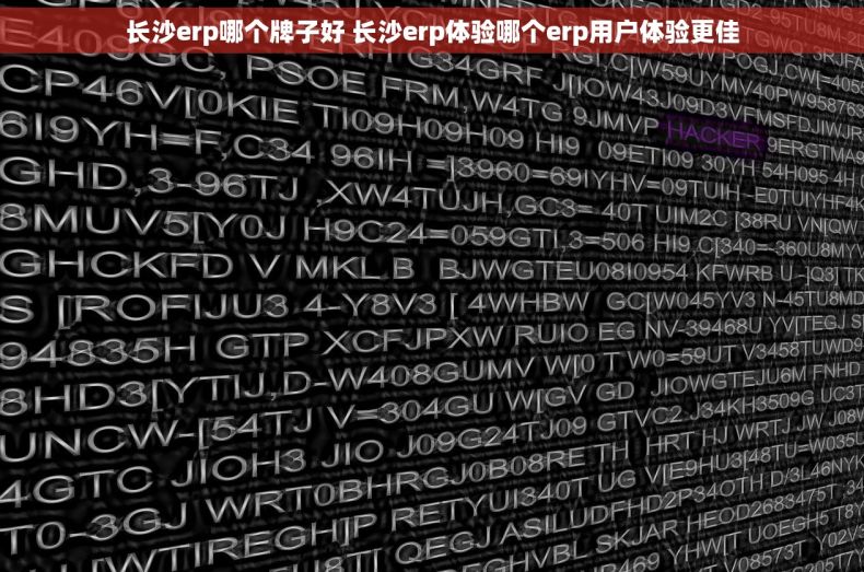长沙erp哪个牌子好 长沙erp体验哪个erp用户体验更佳