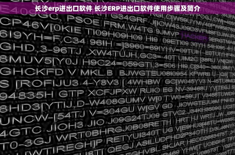 长沙erp进出口软件 长沙ERP进出口软件使用步骤及简介