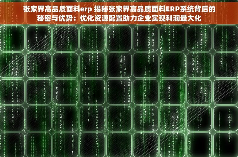 张家界高品质面料erp 揭秘张家界高品质面料ERP系统背后的秘密与优势：优化资源配置助力企业实现利润最大化