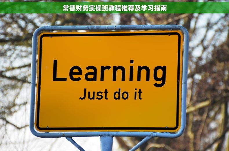 常德财务实操班教程推荐及学习指南
